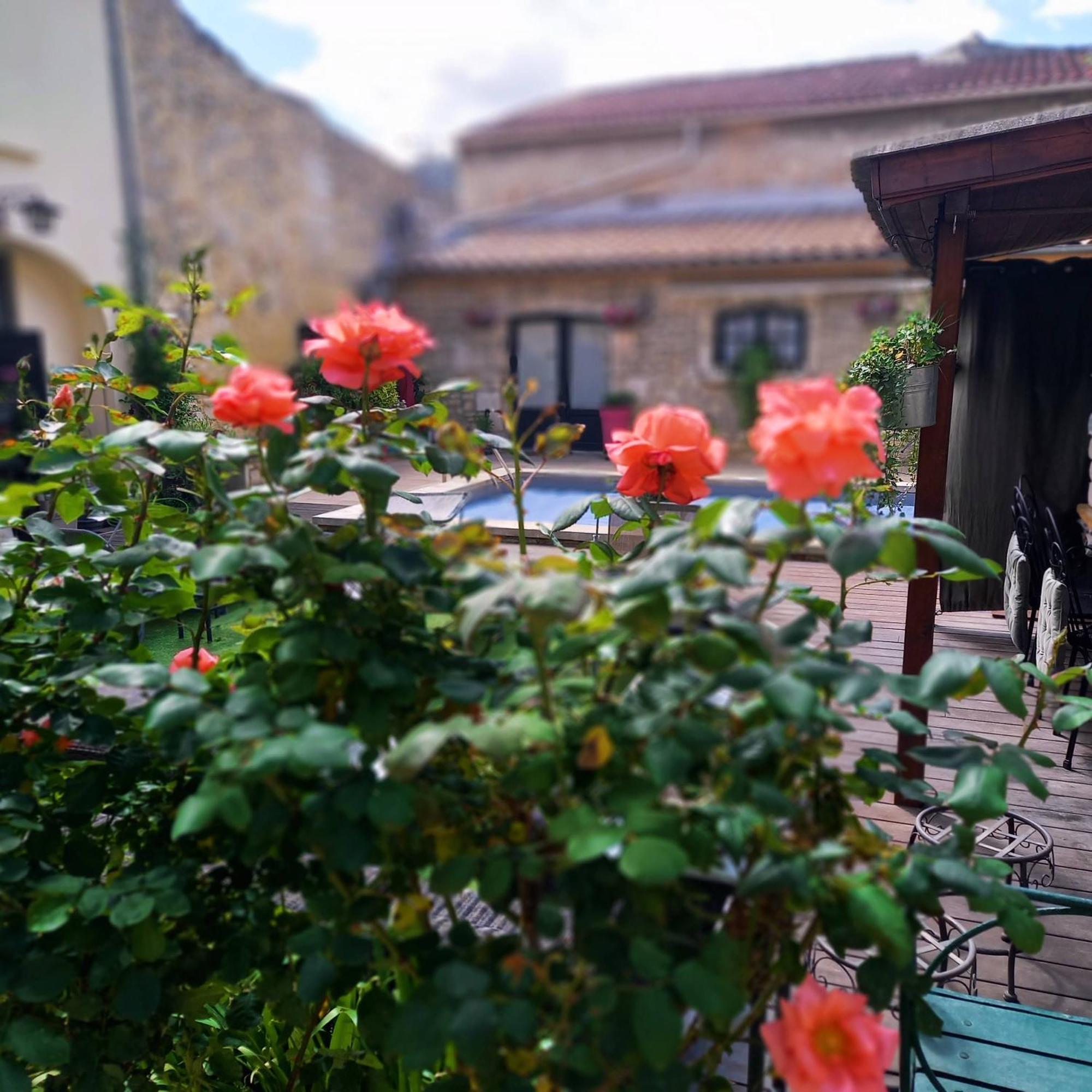 Maison D'Hotes Payan Champier Saint-Paul-Trois-Chateaux Luaran gambar