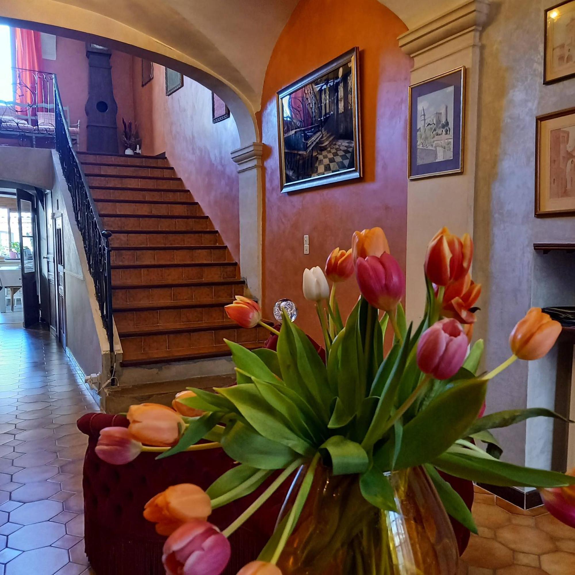 Maison D'Hotes Payan Champier Saint-Paul-Trois-Chateaux Luaran gambar